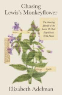 Chasing Lewis’s Monkeyflower: The Amazing Afterlife of the Lewis and Clark Expedition’s Wild Plants