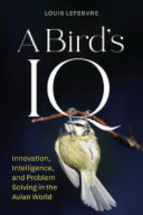 A Bird's IQ: Innovation, Learning, and Problem Solving in the
