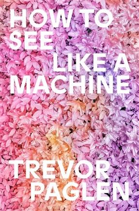 How To See Like a Machine: Images After AI