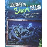 Journey to Shark Island: A Shark Photographer's Close Encounters