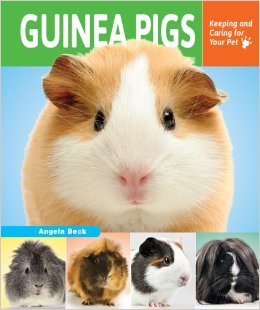 Guinea Pigs