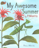 My Awesome Summer by P. Mantis