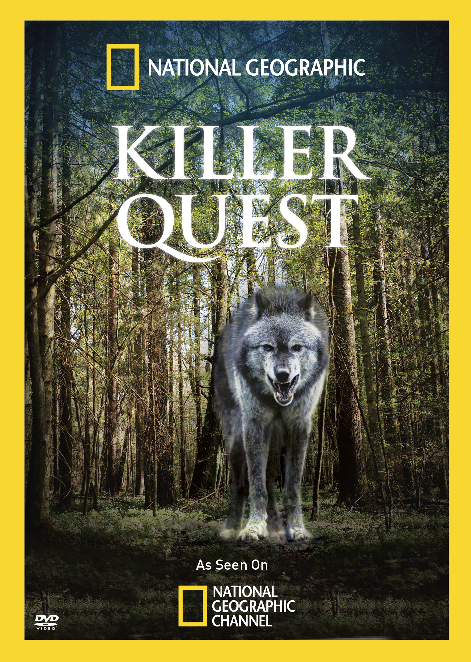 Killer Quest