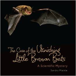 The Case of the Vanishing Little Brown Bats: A Scientific Mystery