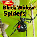 Black Widow Spiders