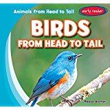 Birds from Head to Tail