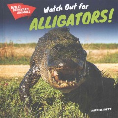 Watch Out for Alligators!