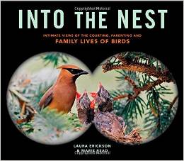 Into the Nest: Intimate Views of the Courting, Parenting, and Family Lives of Familiar Birds