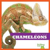 Chameleons