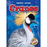 Cranes