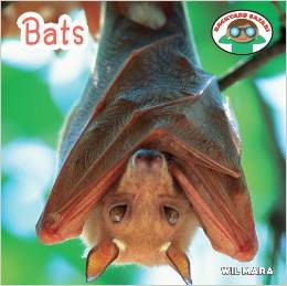 Bats