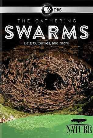 The Gathering Swarms