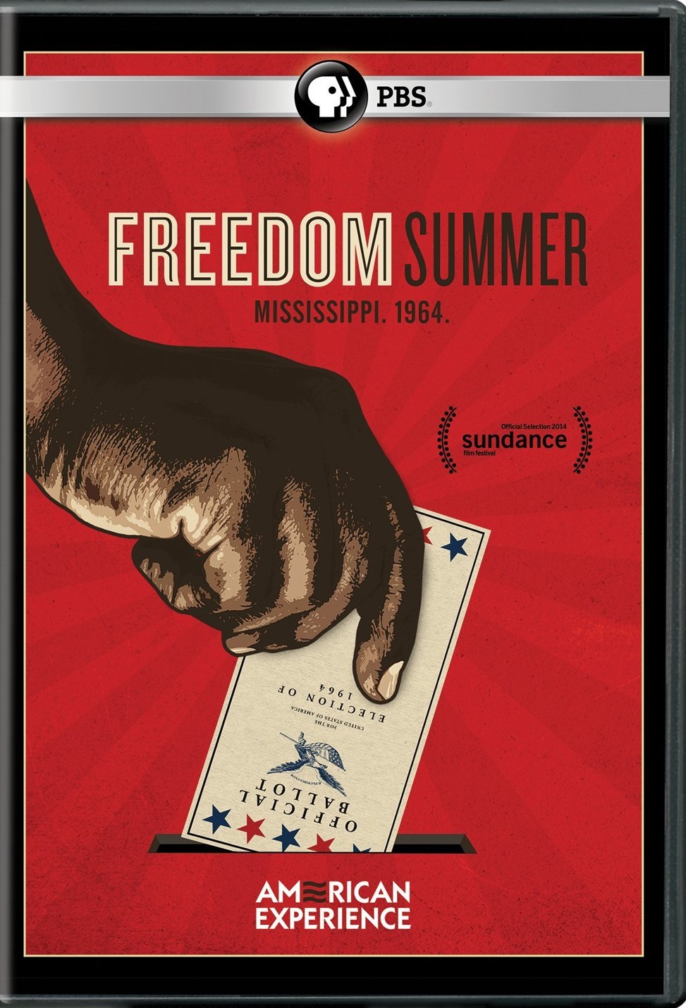 Freedom Summer
