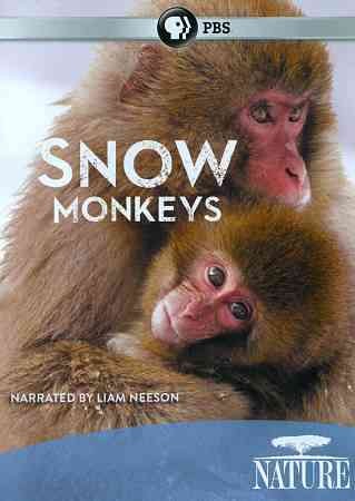 Snow Monkeys