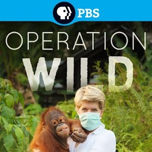 Operation Wild