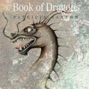 Book of Dragons