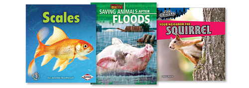 Critters in the Neighborhood: Animals | Series Made Simple Fall 2011