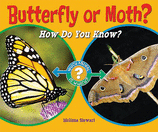 butterflyormoth(Original Import)