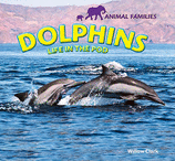 dolphinslifeinpod(Original Import)