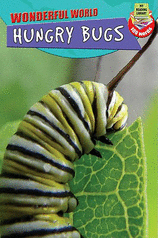 hungrybugsowen(Original Import)