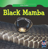 killersnakesblackmamba(Original Import)