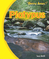 unusualanimalsplatypus(Original Import)