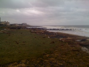 News Bites: Apply for Hurricane Sandy Recovery Grants