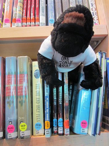 YMA Medalists Applegate, Klassen Say Librarians Are Marketing Mavens