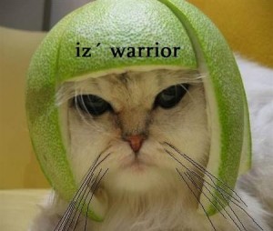 warrior 300x254 Retract those claws