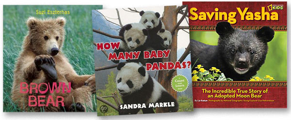 The Bear Facts: Books About Cuddly Creatures | Nonfiction Booktalker