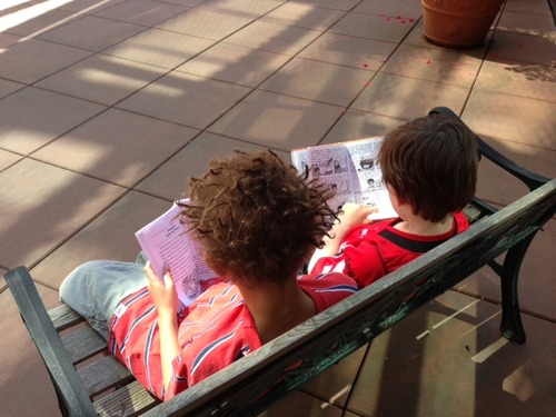 Librarians Speak Out: #lovemylibraryjob