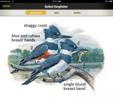 Tweets, Drums, and Warbles: A Digital Field Guide to North American Birds | Touch and Go