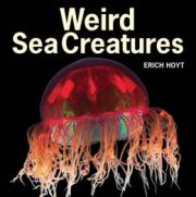 Pick of the Day: Weird Sea Creatures