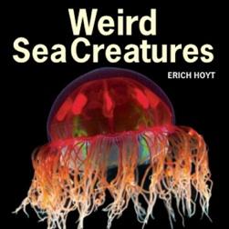 Weird_Sea_Creatures_Cover_Hoyt