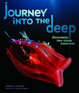 journey into the deep