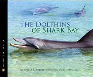 Pick of the Day: The Dolphins of Shark Bay