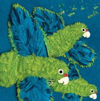 Pick of the Day: Parrots Over Puerto Rico