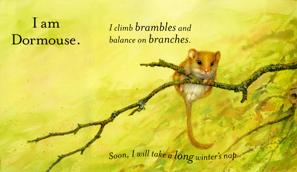 Book Review: Preschool to Grade 4 Nonfiction | December 2013