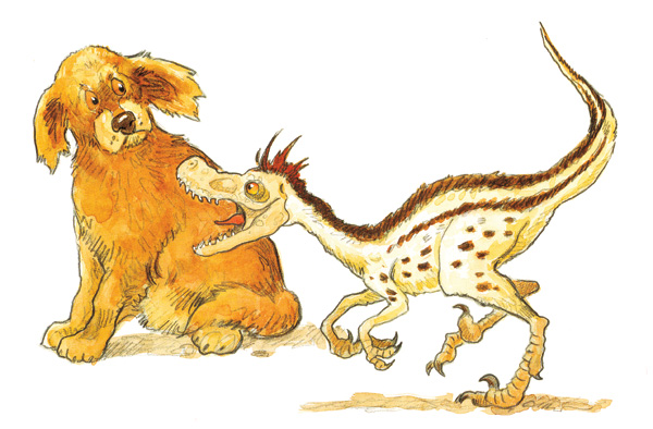 Book/Multimedia Review Stars | December 2013