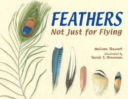 Feathers Not Just for Flying