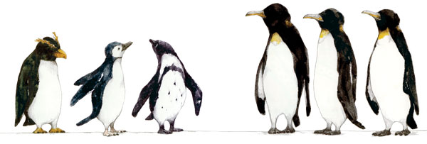 February Starred Reviews