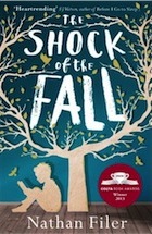 The Shock of the Fall