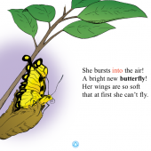 Screen from 'My, Oh My - Butterfly"