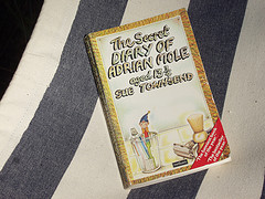 AdrianMoleBookCover
