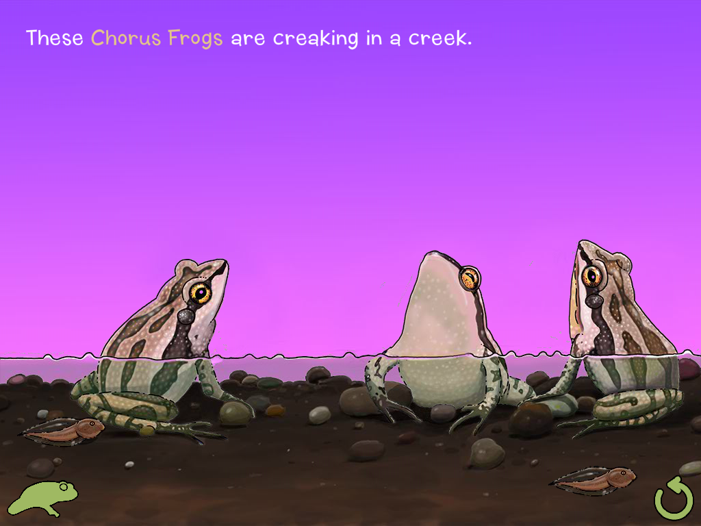 Creepers & Peepers | Touch and Go