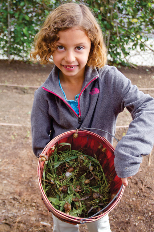 Photo by Grace Hwang Lynch.