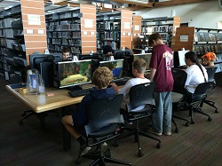 Homer Public Library