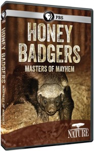2014_TOP10_DVD_honey-badgers