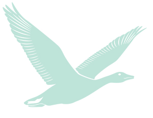 SLJ1412w_BuzzAward-HI_Goose