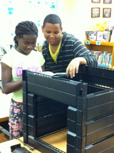 composting bin assembly